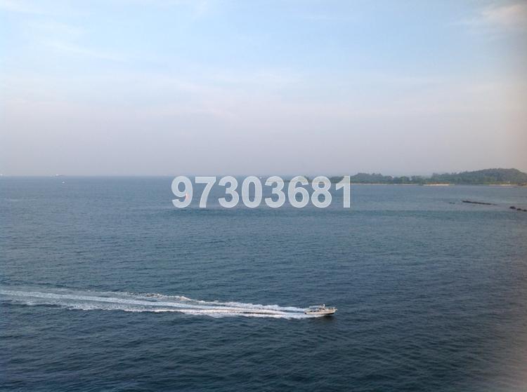 The Oceanfront @ Sentosa Cove (D4), Condominium #82972222